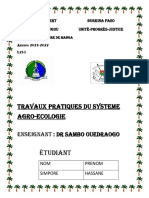 Rapport Simpore Ridhouane