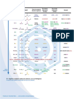 Documento orgánica ayuda grupos funcionales