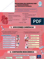 Afecciones Cardíacas - Contusión Miocárdica y Contusión Pulmonar