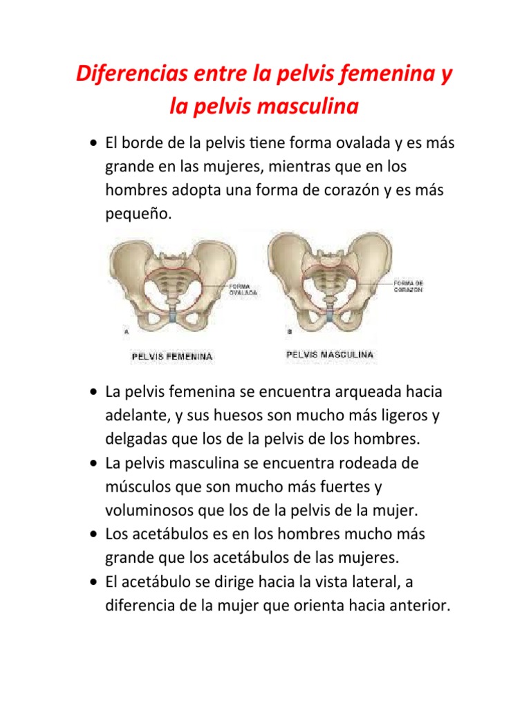 diferencias-entre-la-pelvis-femenina-y-la-pelvis-masculina-pdf