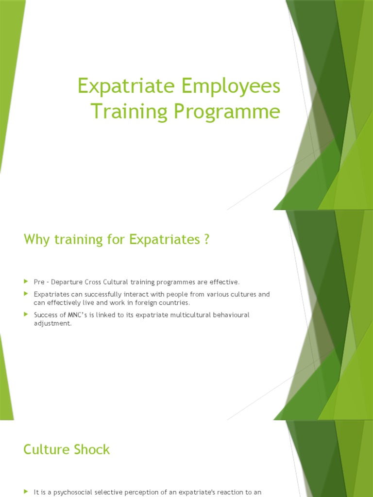 Cross Cultures Expatriates Training Pdf Behavior Mentorship