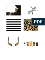 Animal features guide