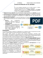 Apuntes Biología - La Función de Relación en Los Animales 2022 2023