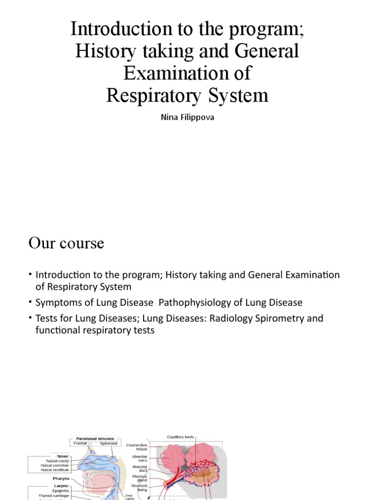 Lecture BAU Lungs | PDF | Lung | Cough