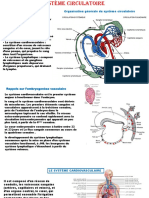 Système Circulatoire