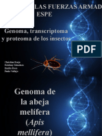 Exposición de MIcro Wao