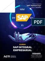 Temario Sap Integral Empresarial 2023