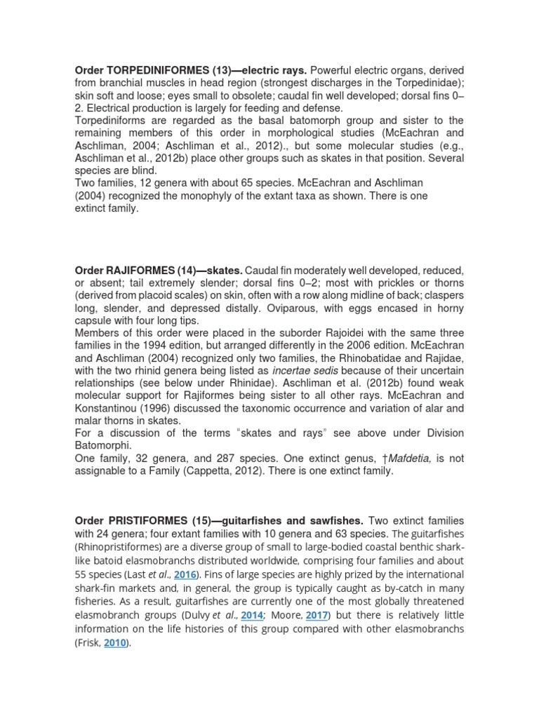 Ordenes Batoideos | Download Free PDF | Fish | Vertebrates