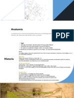 Anatomia Trabajo de Matera, Pimer Parcial SUWE