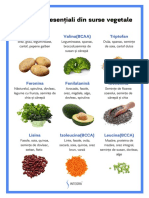 Aminoacizi Esențiali Din Surse Vegetale