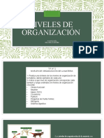 Niveles de Organizacion Caractericas SV