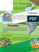 Infografia Desastres Naturales