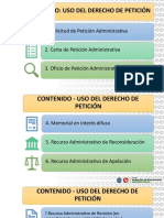 El Derecho de Peticion