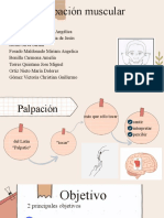 Palpación Muscular