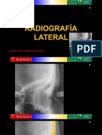 Anatomia Radiografica Cefalometrico