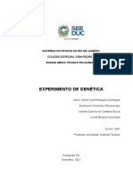 Extração e observação do DNA de banana no microscópio