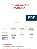 Tema 11. Punto 6. Mutaciones y Tipos.