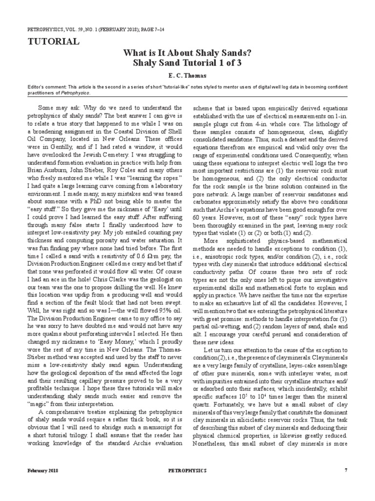 Understanding Shaly Sands in Petrophysics | PDF | Ion | Minerals