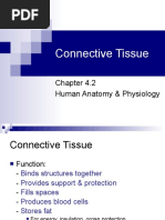 Chapter 1 (Anatomy) | PDF | Human Body | Homeostasis