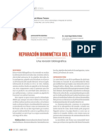 325 CIENCIA ReparacionBiomimeticaEsmalte