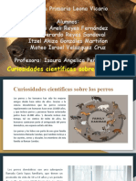 Curiosidades Científicas de Los Perros