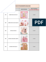 CATALOGO TRANSMISIÓN 09.02 - Ventascyv