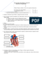 Trabajo de Anatomía y Fisiopatología - AEI - G.22