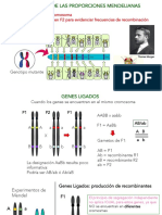 06 Desviaciones2 23 2