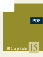 PDF Cap151617