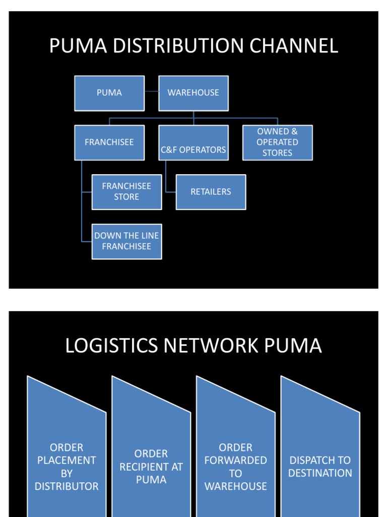Puma Logistics and Distribution Overview | PDF
