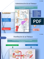 Vias de Los Farmacos - Gladiana Diaz