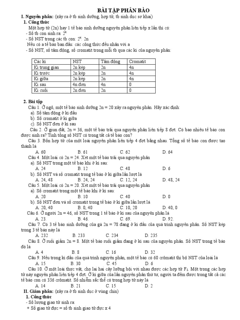 Bã I Táº P Phã N Bã O Pdf