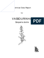 Vassourinha Tech