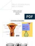 Fisiologia y Anatomia Del Utero