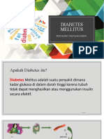 Diabetes Mellitus - Rizka