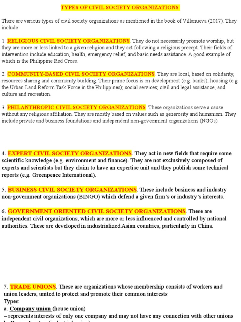 Civil Society | PDF | Non Governmental Organization | Society