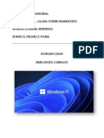 Microsoft Project Report