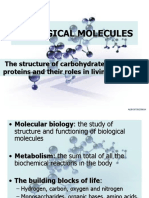 Biological Molecules 2