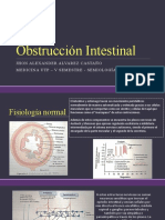 Obstrucción Intestinal