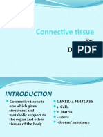 Connective Tissue Slide #1 