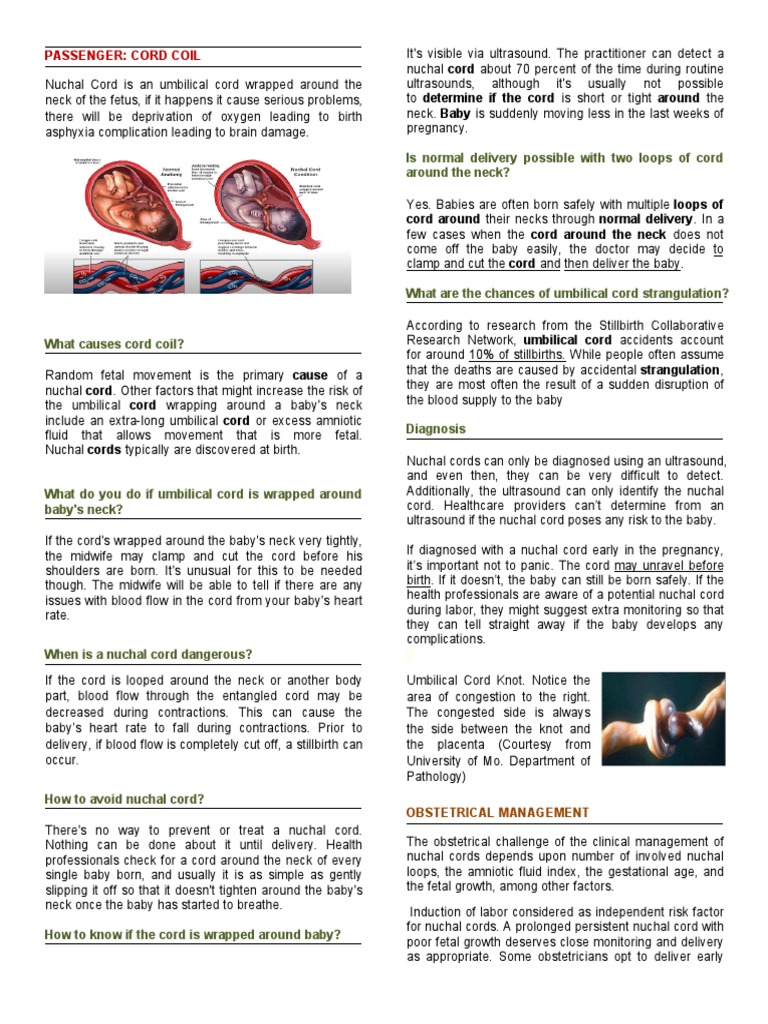 Cord Coil PDF Childbirth Health Sciences