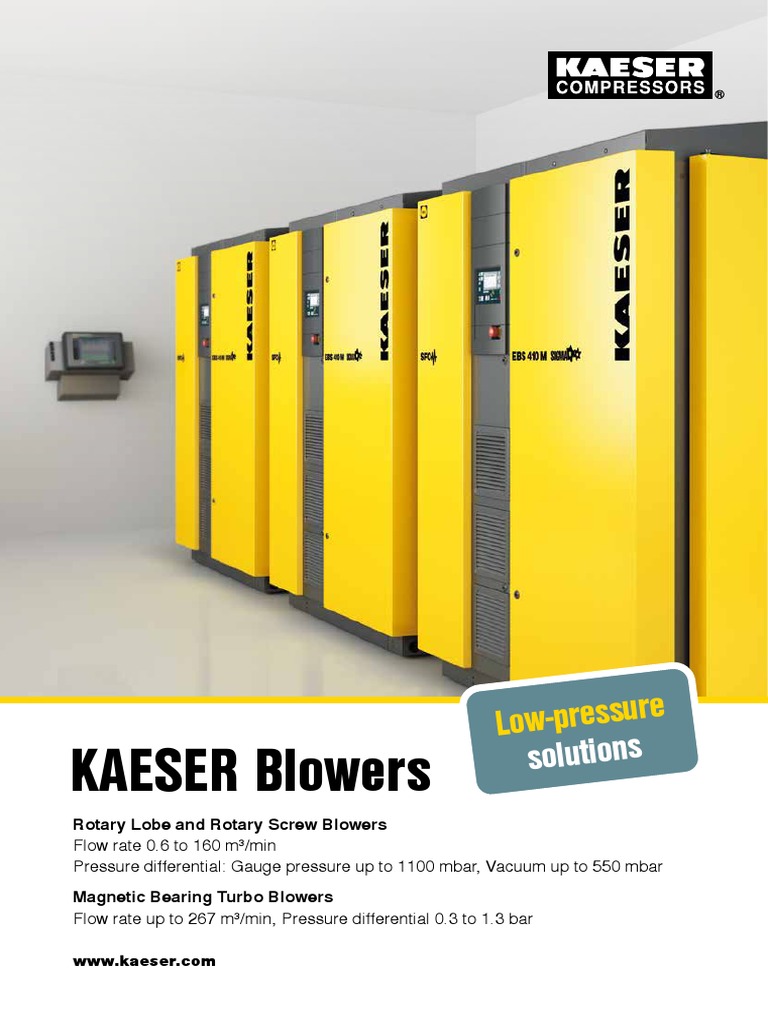 Kaeser Blowers, PDF, Electric Motor