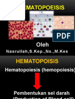 HEMATOPOESIS