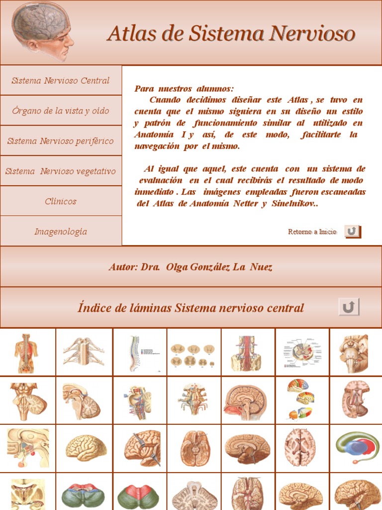 Atlas Del Sistema Nervioso Pdf