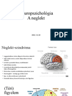 Neuropszichológia Neglekt 5