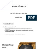 Neuropszichologia Frontalis Alvás Psziches 7