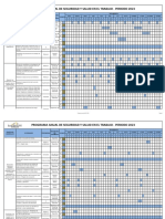 Programa Anual de Seguridad y Salud en El Trabajo