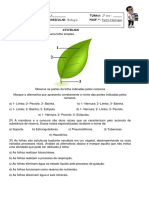 Folha Biologia Atividade