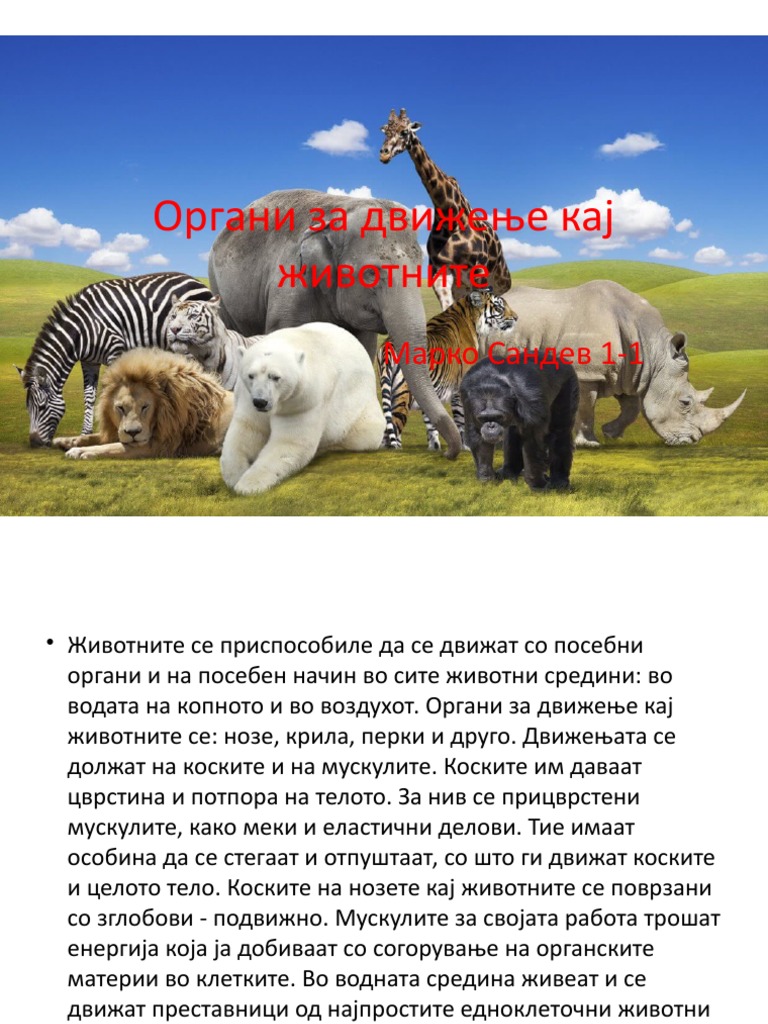 Органи за движење кај животните | PDF