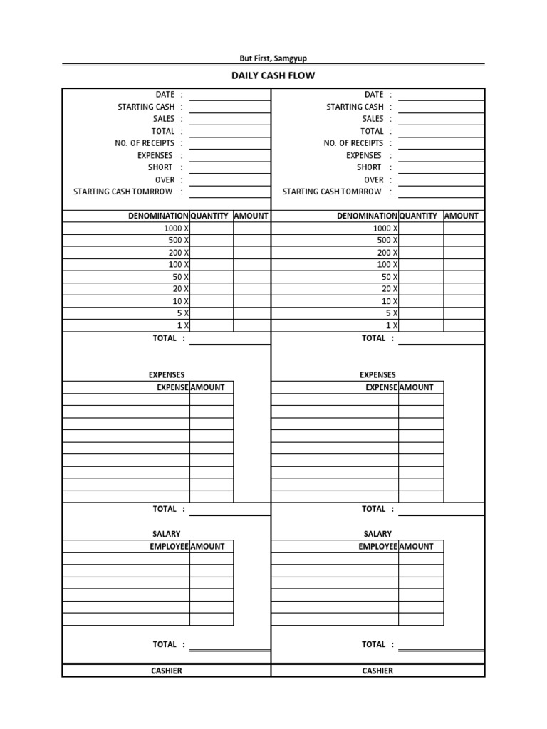 Daily Cash Flow Summary | PDF